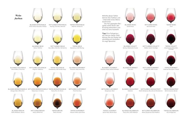Der Master-Wein-Guide: Die Magnum-Edition - Von den Machern von winefolly.com Gebundene Ausgabe – 21. Oktober 2019 3