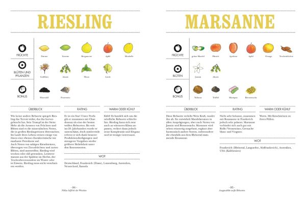 Wein: Vom Einsteiger zum Kenner. Der illustrierte Guide. Verstehen, kaufen, verkosten und pairen: Der umfassende Wein-Grundkurs. Weinwissen einfach und humorvoll vermittelt Gebundene Ausgabe – 3. Juli 2023 6