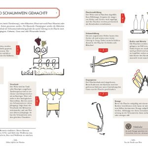 Wein: Vom Einsteiger zum Kenner. Der illustrierte Guide. Verstehen, kaufen, verkosten und pairen: Der umfassende Wein-Grundkurs. Weinwissen einfach und humorvoll vermittelt Gebundene Ausgabe – 3. Juli 2023 21