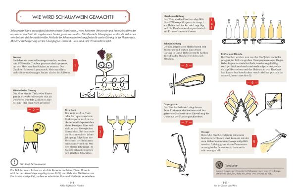 Wein: Vom Einsteiger zum Kenner. Der illustrierte Guide. Verstehen, kaufen, verkosten und pairen: Der umfassende Wein-Grundkurs. Weinwissen einfach und humorvoll vermittelt Gebundene Ausgabe – 3. Juli 2023 7