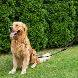 CopcoPet – Fettlederleine für Hunde – 3-fach verstellbare Hundeleine aus weichem Leder mit Karabinern & Beschlägen aus Messing – geflochtene Führleine 100% Handmade in Germany (2,40 m x 15mm | Cognac) 15