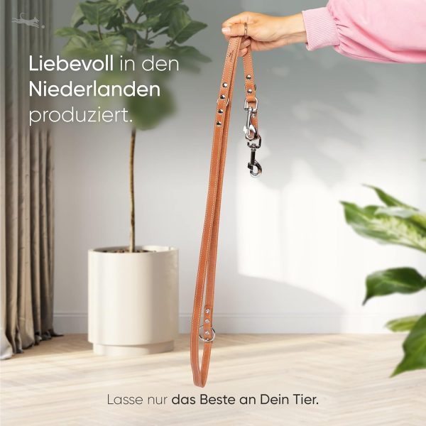 FREUDENTIER Hundeleine aus zertifiziertem Leder 2m, 3-Fach verstellbare Führleine, liebevoll in Holland produziert, hochwertig und stilvoll, Amstelpark Kollektion (Cognac, 20mm breit) 2