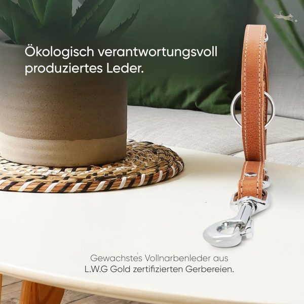 FREUDENTIER Hundeleine aus zertifiziertem Leder 2m, 3-Fach verstellbare Führleine, liebevoll in Holland produziert, hochwertig und stilvoll, Amstelpark Kollektion (Cognac, 20mm breit) 4